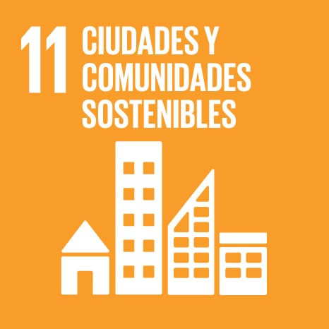 ONU SDG 11 Icon